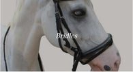 Bridles