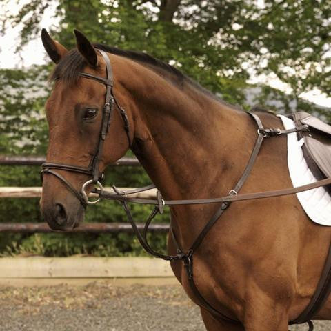 SWML14 - eit-saddle-demo