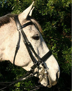 SWB7 - eit-saddle-demo