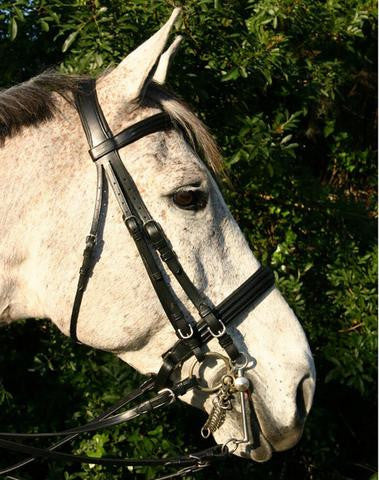 SWB7 - eit-saddle-demo