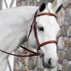 SWB8 - eit-saddle-demo