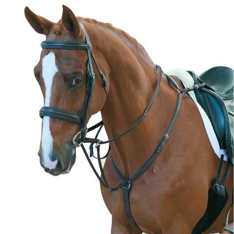 SWML3 - eit-saddle-demo