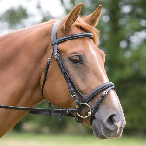 SWB9 - eit-saddle-demo