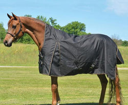 1200D Turnout Blanket High Neck 150G - eit-saddle-demo