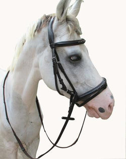 LEATHER BRIDLE WITH RAISED NOSEBAND - eit-saddle-demo