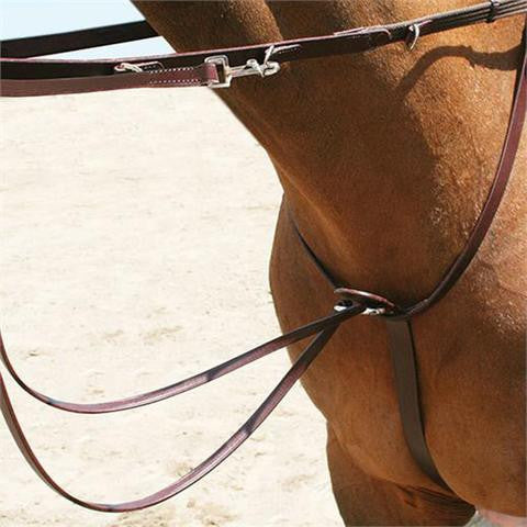SWML9 - eit-saddle-demo
