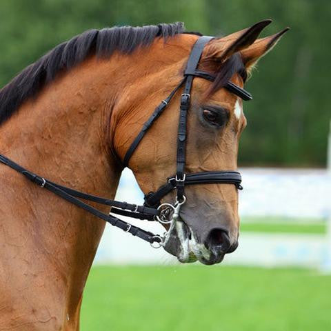 SWB1 - eit-saddle-demo