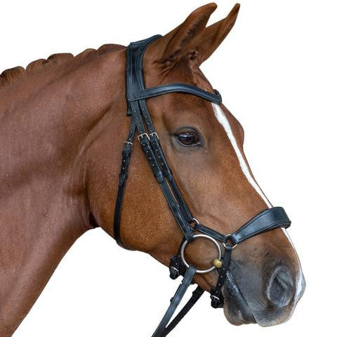 SWB11 - eit-saddle-demo