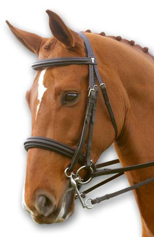 SWB12 - eit-saddle-demo