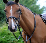 SWML10 - eit-saddle-demo