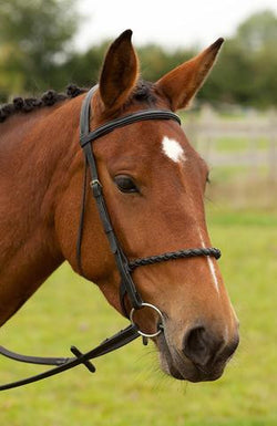 SWB2 - eit-saddle-demo