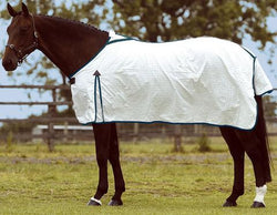 SUMMER SHEET STD NECK POLCHECK - eit-saddle-demo