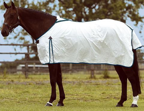 SUMMER SHEET STD NECK POLCHECK - eit-saddle-demo