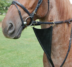 SWML12 - eit-saddle-demo