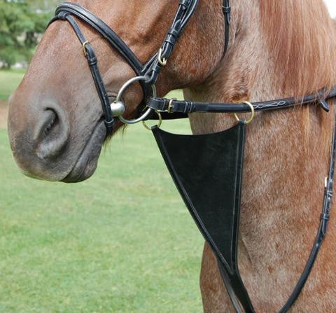 SWML12 - eit-saddle-demo