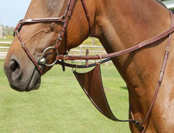 SWML13 - eit-saddle-demo
