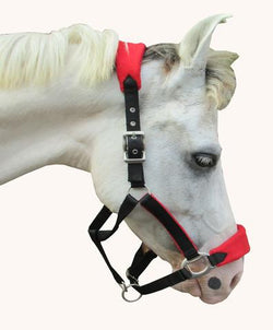 SWH26 - eit-saddle-demo