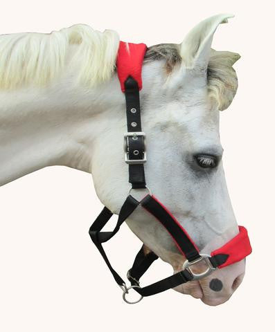 SWH26 - eit-saddle-demo
