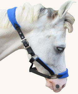SWH27 - eit-saddle-demo