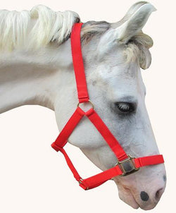 SWH28 - eit-saddle-demo