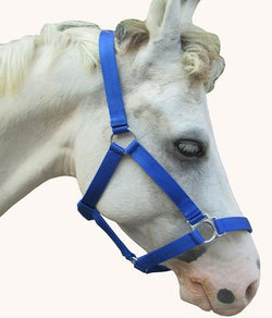 SWH29 - eit-saddle-demo
