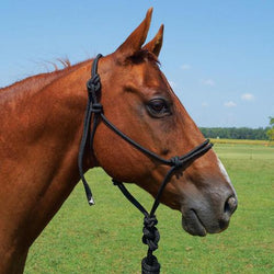 SWH7 - eit-saddle-demo