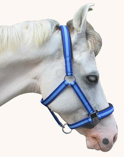 HALTER PP NEOPRENE PADDED - eit-saddle-demo