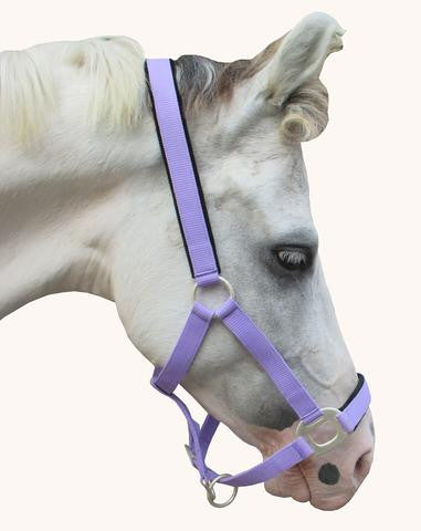 HALTER PP NYLEX PADDED - eit-saddle-demo