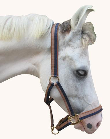 HALTER PP PADDED - eit-saddle-demo