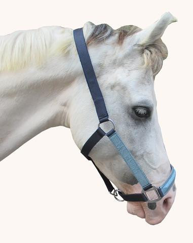 HALTER PP TERRY PADDED - eit-saddle-demo