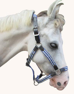HALTER PP WITH LEATHER ENDS - eit-saddle-demo