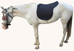 SADDLE PAD SADDLE CUT - eit-saddle-demo
