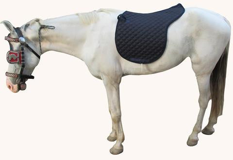 SADDLE PAD SADDLE CUT - eit-saddle-demo