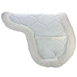 SWSPE13 - eit-saddle-demo