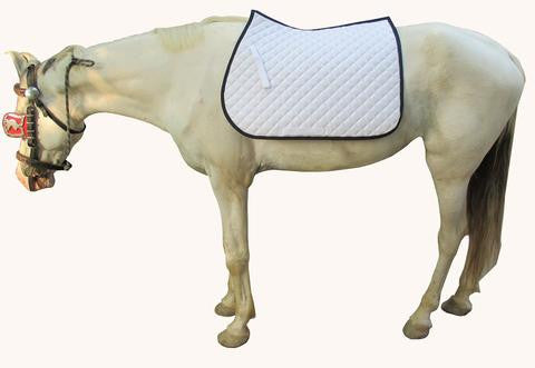 SADDLE PAD BASIC - eit-saddle-demo